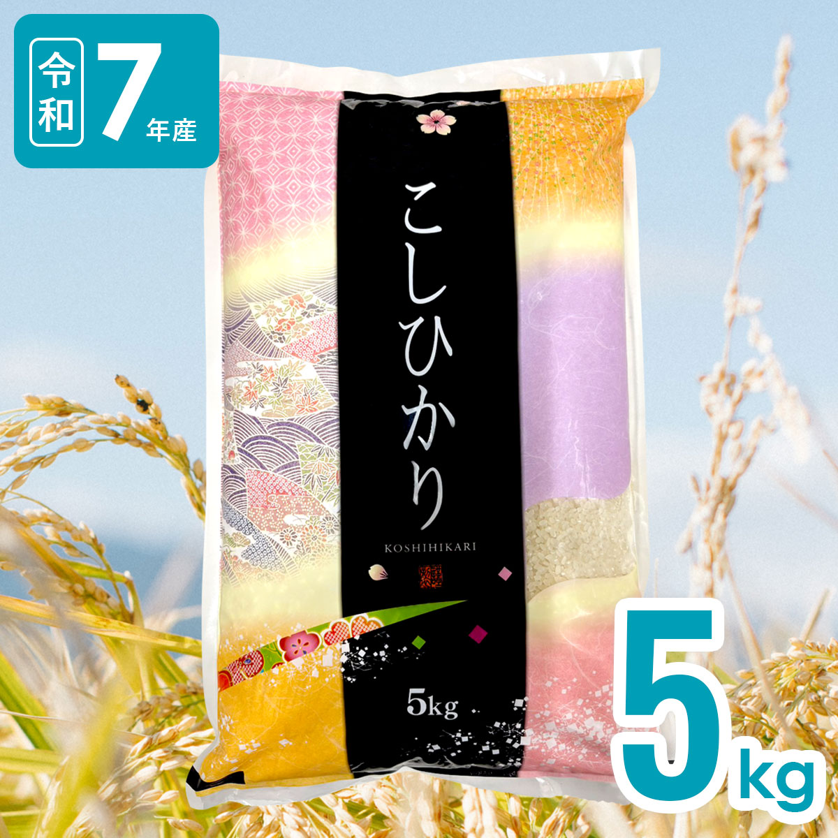 5kg 宮崎県産 こしひかり 令和7年産｜送料無料