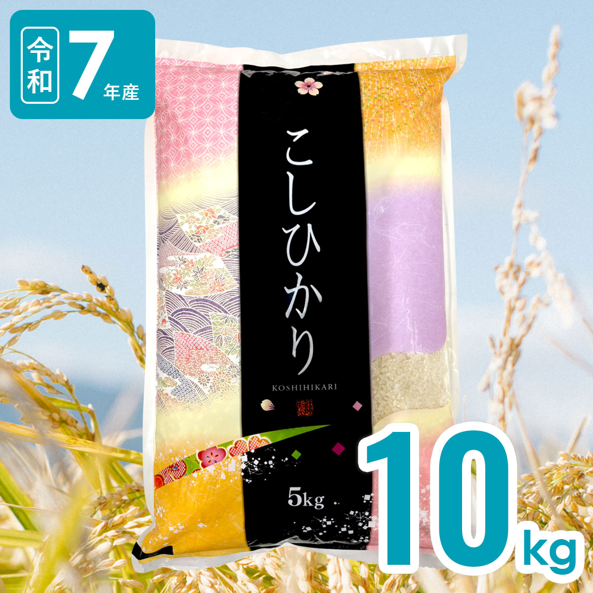 10kg 宮崎県産 こしひかり 令和7年産｜送料無料