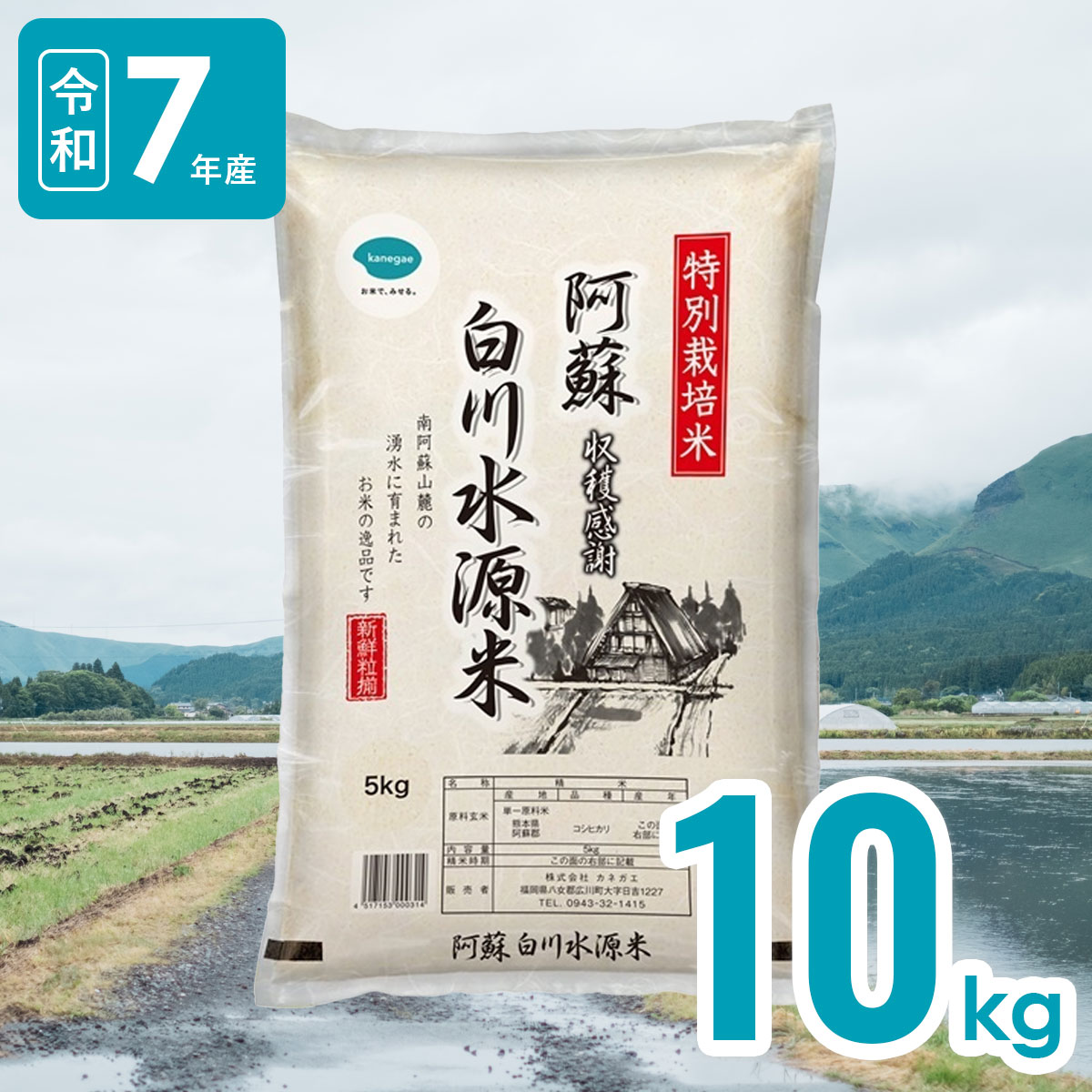 【送料無料】名水百選白川水源 10kg 熊本県阿蘇産 白川水源米こしひかり 令和7年産