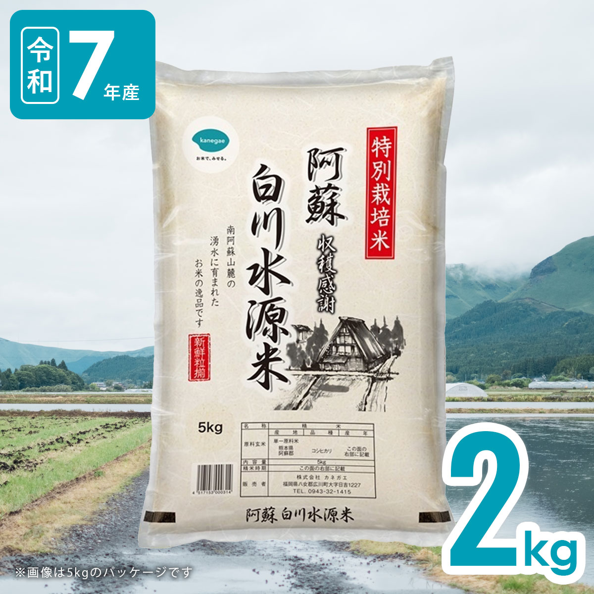 【送料無料】名水百選白川水源 2kg 熊本県阿蘇産 白川水源米こしひかり 令和7年産