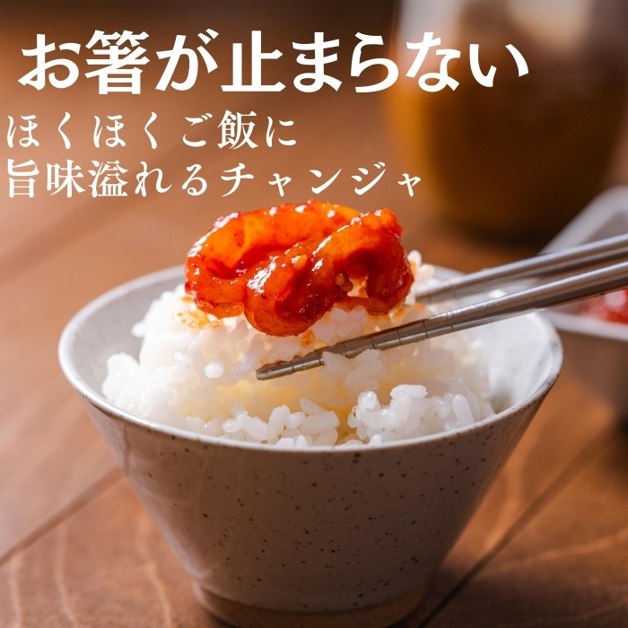 韓国産 《冷凍》カンシネ イカチャンジャ 100g～1kg 選べる