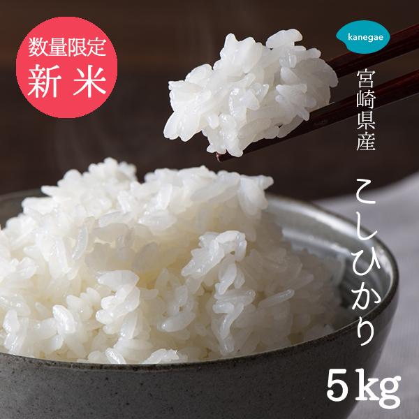 【新米】5kg 宮崎県産 こしひかり 令和7年産｜送料無料