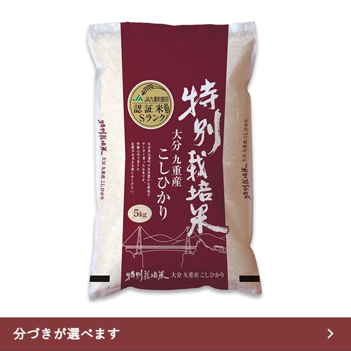 【送料無料】特別栽培米 10kg 大分県産 九重こしひかり 令和6年産
