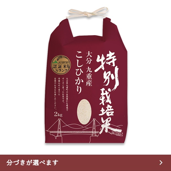 【送料無料】特別栽培米 2kg 大分県産 九重こしひかり 令和6年産