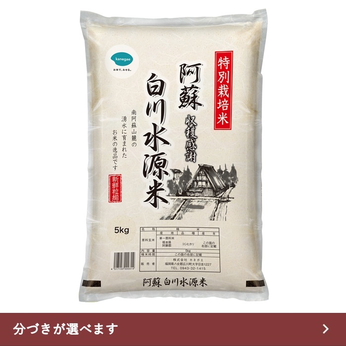 【送料無料】名水百選白川水源 5kg 熊本県阿蘇産 白川水源米こしひかり 令和6年産