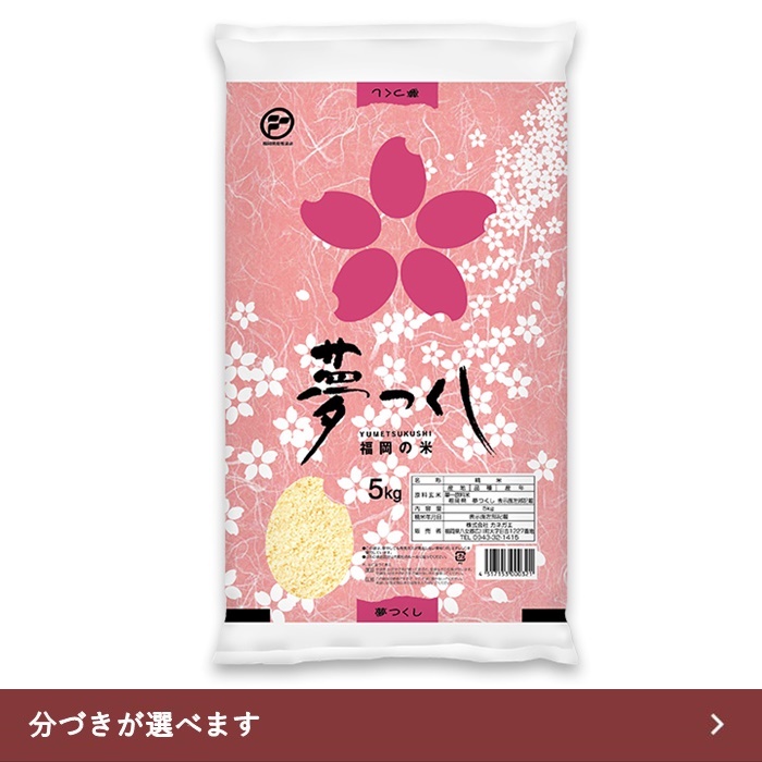 【送料無料】福岡県産 10kg 夢つくし 令和6年産