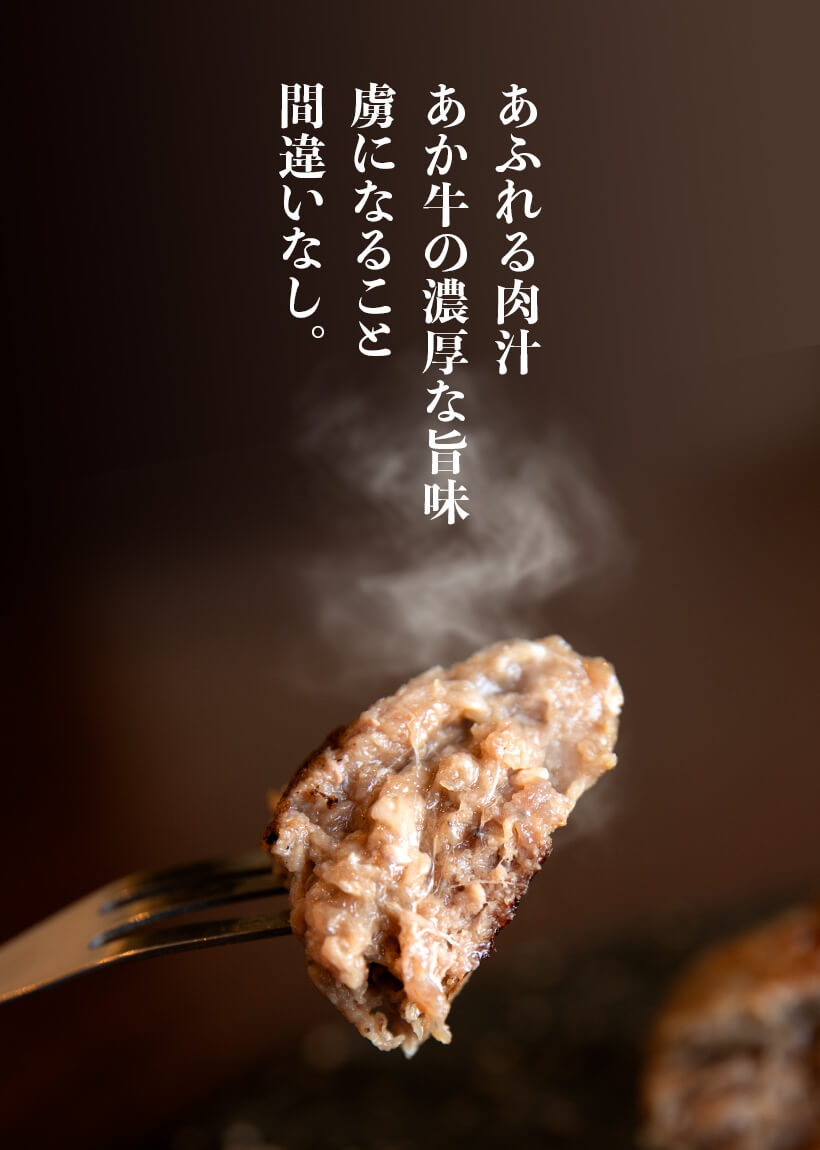 阿蘇あか牛ハンバーグ