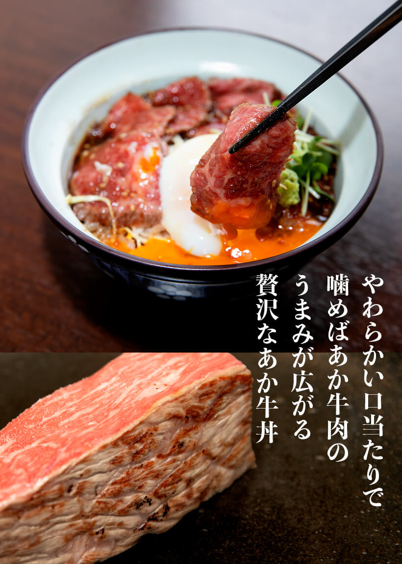 阿蘇あか牛丼