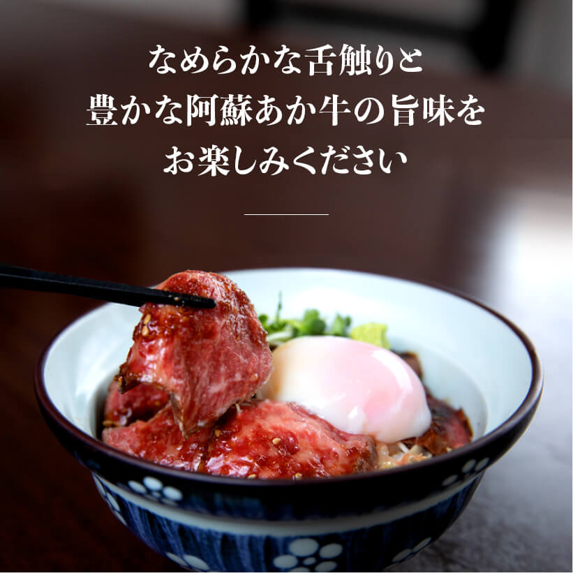 阿蘇あか牛丼