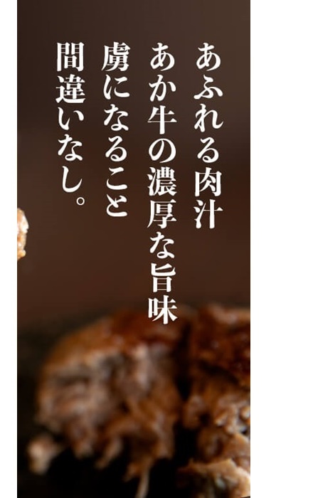 阿蘇あか牛ハンバーグ