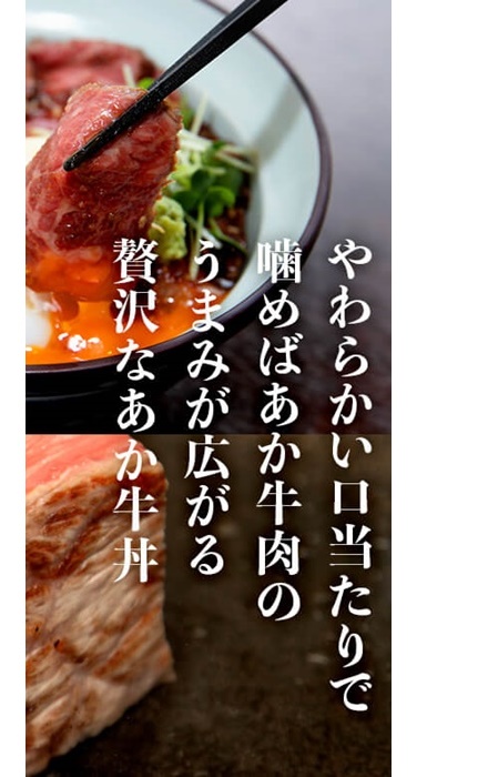 【熊本県】阿蘇あか牛丼
